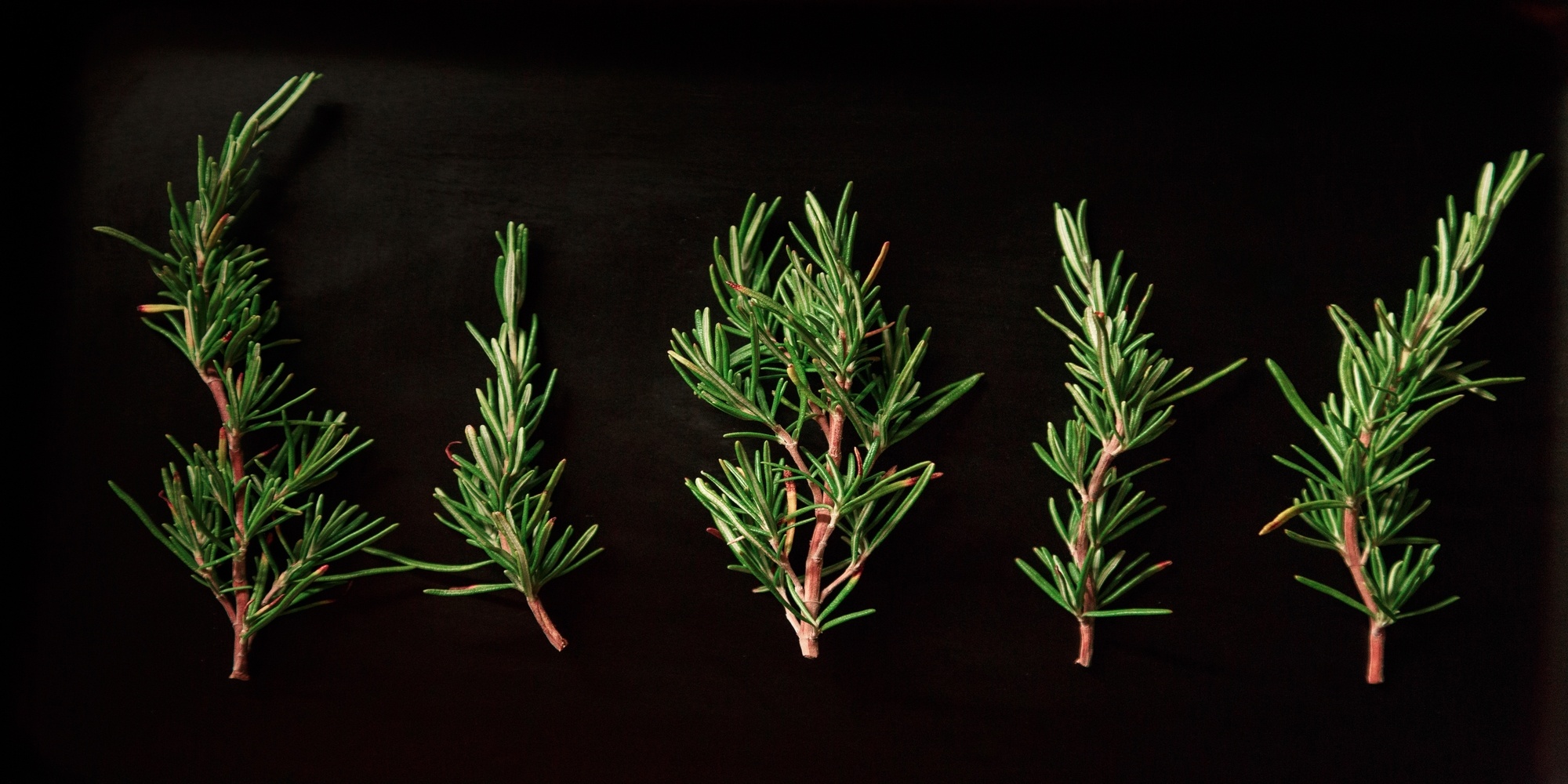 How To Upgrade Your Specialty Coffee Using Rosemary