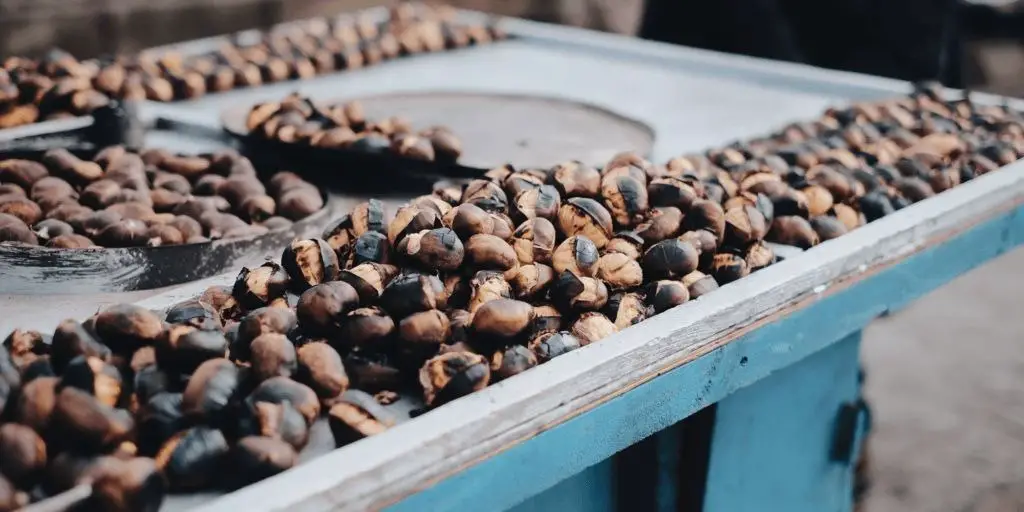 Coffee cherry's going through processing methods