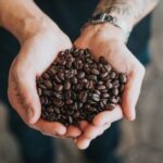 person holding roasted coffee beans in hands