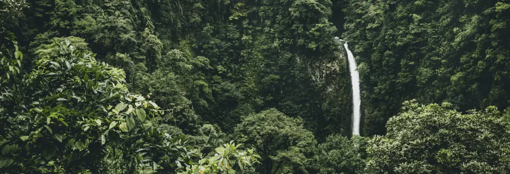 rainforest in costa rica with waterfall, countries and their distinct flavours