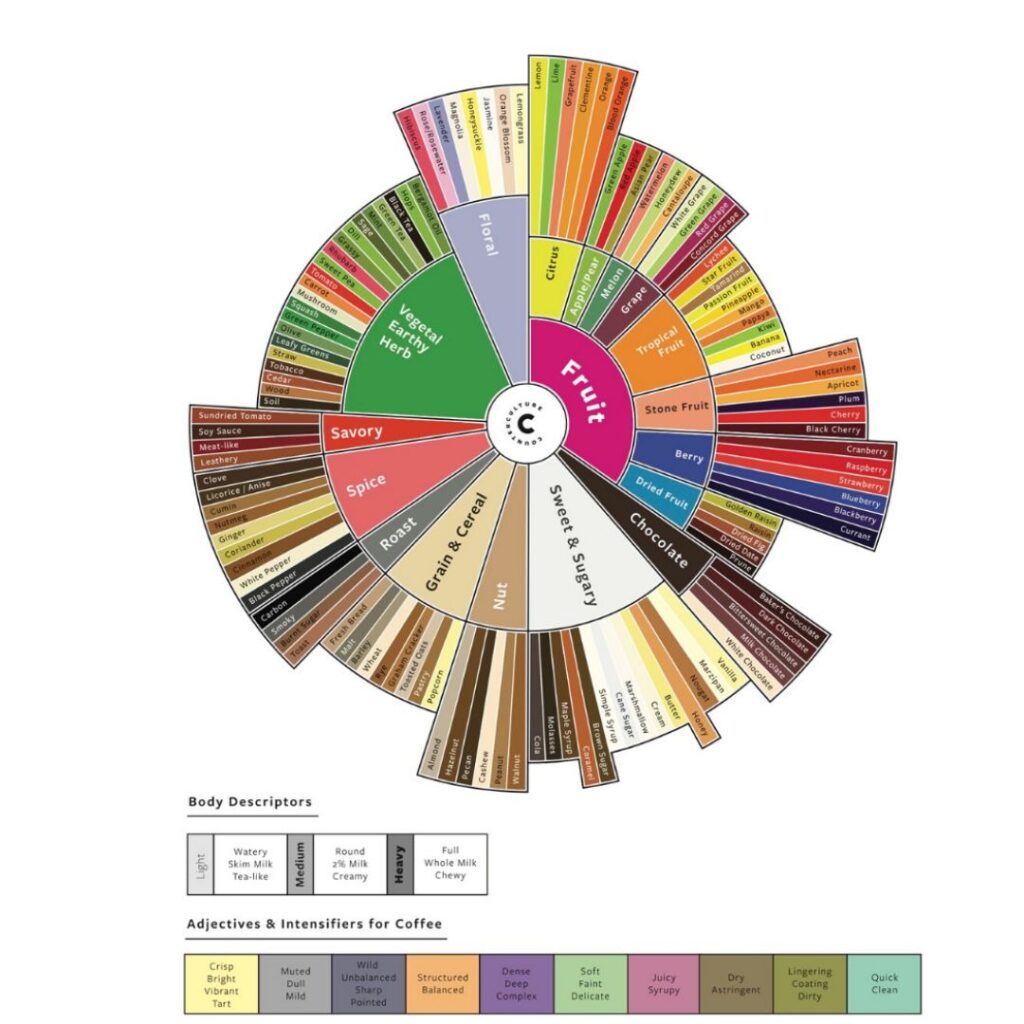 coffee flavour wheel