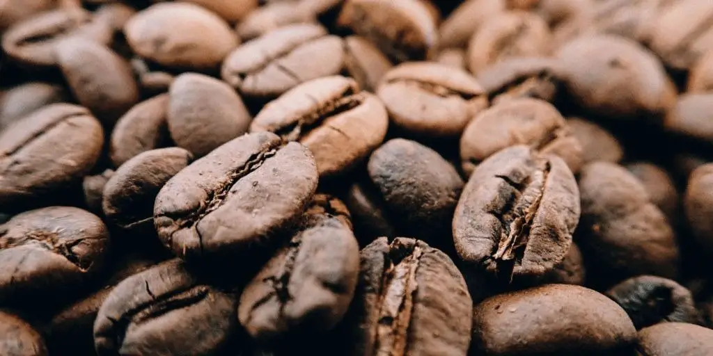 Strongest Coffee Beans | Top 7 Brands Of The Strongest Coffee Beans