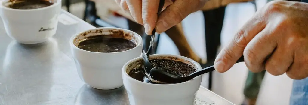 professional coffee tasting