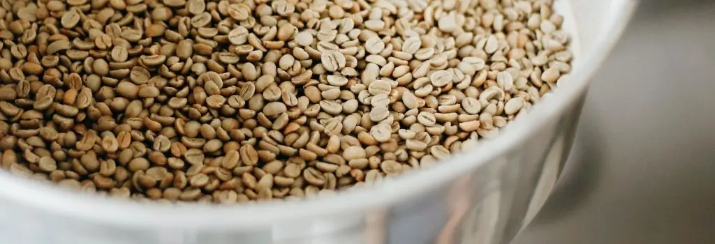 green coffee beans, un roasted coffee