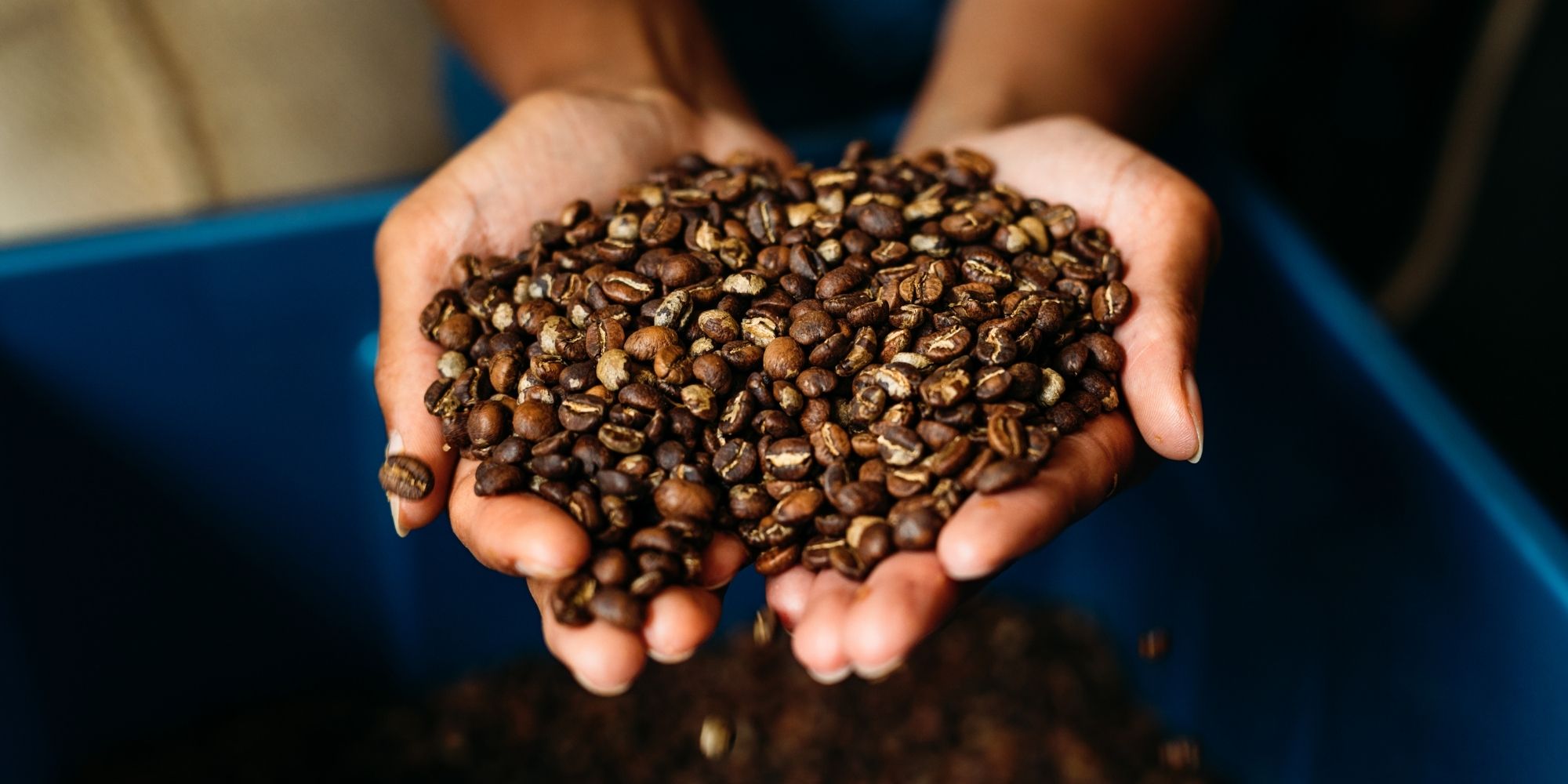 coffee roast, roasted coffee beans, light roast coffee, dark roast coffee