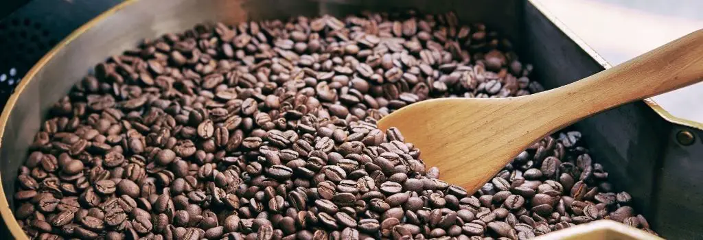 coffee beans, specialty coffee