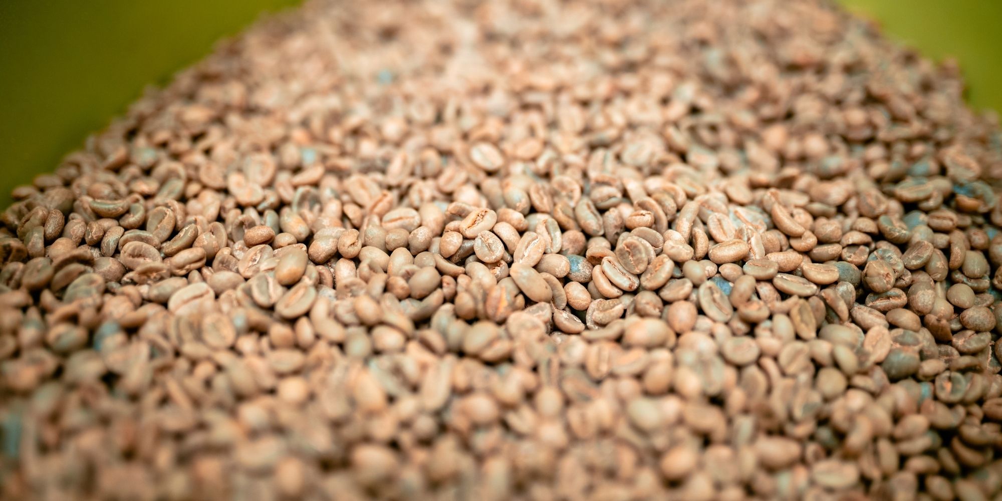Can You Eat Unroasted Coffee Beans?