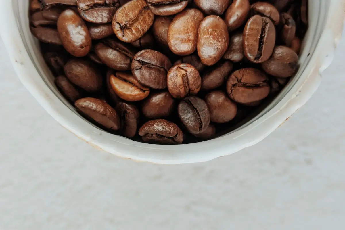 Do Coffee Beans Absorb Moisture? | The Facts You Need To Know