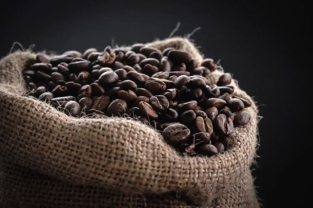 What Is Aged Coffee? | The Secret to Unlocking a New Flavour