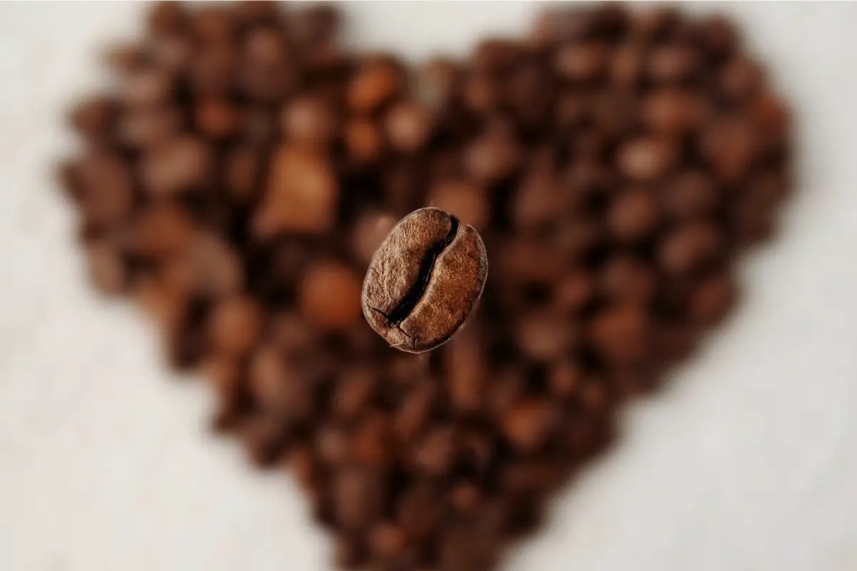 What Is Coffee Bean Density? | Unlocking The Secrets