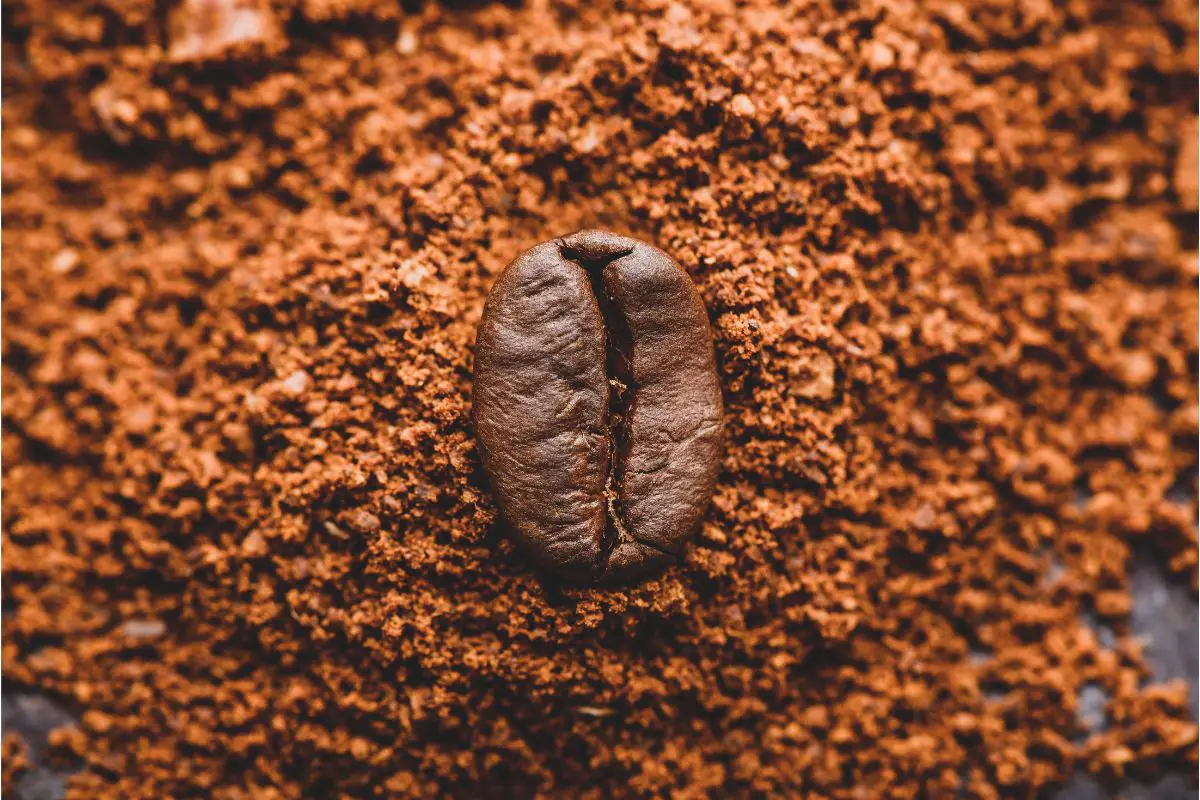 Should You Spray Coffee Beans Before Grinding?